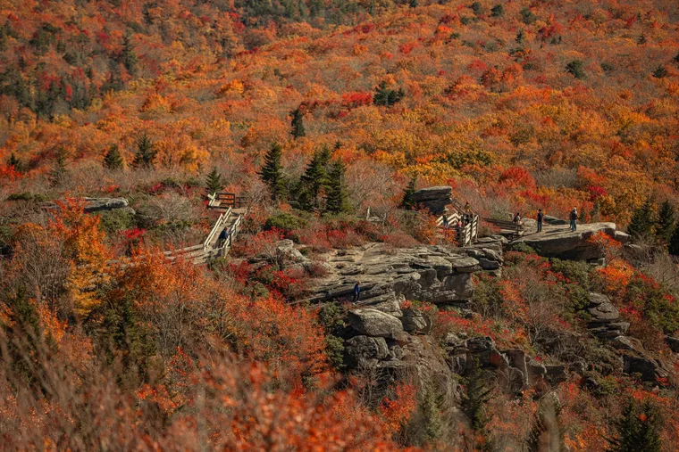 Couple with leashed dogs at a Blue Ridge Parkway overlook surrounded by fall foliage