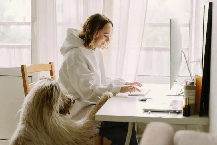 Dog owner using video monitoring to observe dog behavior when left alone at home